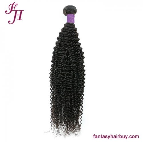 FH Virgin Brazilian Hair Kinky Curly Hair Bundles