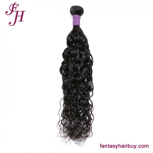 FH Virgin Brazilian Hair Water Wave Hair Bundle