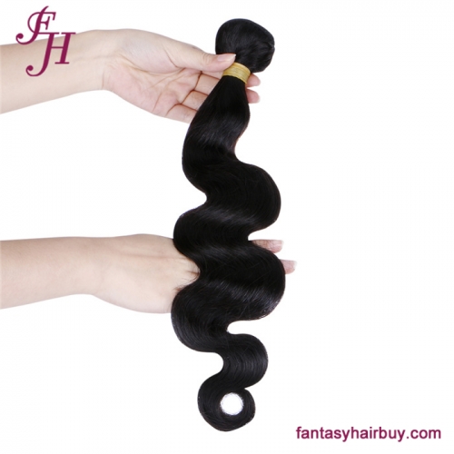 FH Raw Brazilian Hair Body Wave Hair Bundle