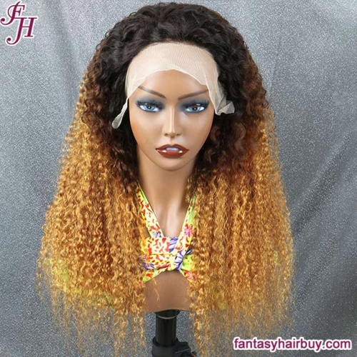 FH 13x4 Transparent Lace Frontal Jerry Curly Ombre Color Human Hair Wig