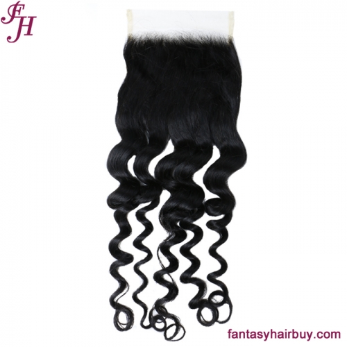 FH Virgin Human Hair Brazilian Loose Deep Wave 5×5 HD Lace Closure